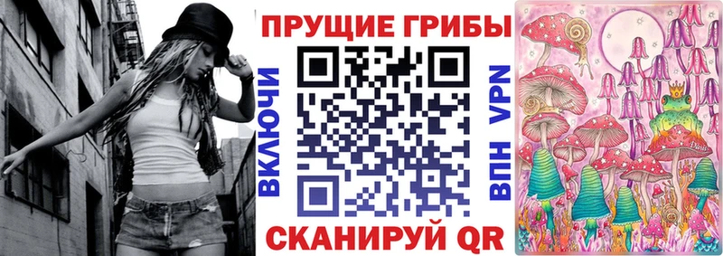 Псилоцибиновые грибы Cubensis блэк спрут Дно как найти закладки